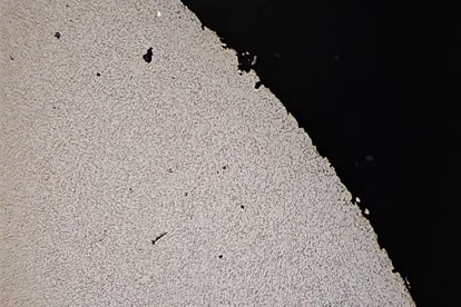 100x magnification